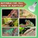 LUCKY HERP Reptile Heat Lamp 75W 2 Pack UVA Reptile Heat Lamp Bulb Amphibian Basking Spot Light Bulb Reptile Daylight Bulb for Turtle Bearded Dragon Lizard Heating Use 75W(2 Pack) - Buy Online on SooperMarket.com