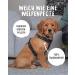 Rudel King Dog Harness Paola - Reflective Adjustable Harness for Small Dogs & Puppies - S Black with Handle - Buy Online on SooperMarket.com