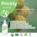 Fatima's Garden Prickly Pear Seed Oil USDA Ecocert Certified Organic Moroccan Anti-aging Moisturizer for Face, Hair, Skin & Nails 1 Fl Oz - Buy Online on SooperMarket.com