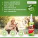 BOGACARE Perfect Ear Cleaner for Dogs - 125ml Innovative Ear Cleaner with Women's Mantle & Acetic Acid - Effective Pet Ear Hygiene Solution - Buy Online on SooperMarket.com