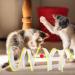 2pcs Cat Coil Toy Set - Foldable 65cm Kitten Play Tunnel with Plush Ball & Feather Stick - Multicolor Spiral Cat Toy Tunnel - Buy Online on SooperMarket.com