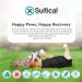 Suitical Recovery Suit for Extra Large Dogs - Black XL - Buy Online on SooperMarket.com