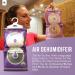 TO Wardrobe Dehumidifier Hanging Bags - 6 x 190g | Mould Prevention, Disposable Dehumidifiers for Window, Caravan, Home & Kitchen | Lavender Scent | Damp Absorber - Buy Online on SooperMarket.com