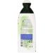 L Angelica Officinalis Shampoo - Sebum Regulating with Nettle & Myrtle 250ml | Italian Import for Healthy Hair - Buy Online on SooperMarket.com
