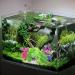 Buy Mhymx 5-Piece Colorful Artificial Aquarium Plants - Perfect Decoration for Aquariums & Reptile Terrariums | International Shipping Available - Buy Online on SooperMarket.com