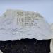 Pu-erh tea 2007 Mengku Native Ancient Tree Tea Mengku Treasures 357g Raw - Buy Online on SooperMarket.com