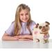 Pets Alive Poppy The Booty Shakin Pug Interactive Dancing Plush Puppy by ZURU - Fun & Entertaining Toy for Kids and Adults - Buy Online on SooperMarket.com
