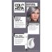 L'Or al Paris Colorista Permanent Gel Hair Dye - Smokey Grey | Long-Lasting Vibrant Color | High-Intensity Formula with Extra Shine - Buy Online on SooperMarket.com