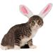 Rubie's White Pink Bunny Ears for Pets - Medium/Large Size - Buy Online on SooperMarket.com