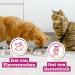 Catz Finefood Meats Cat Treats - Essential Mix Crispy Stripes | Grain-Free Sugar-Free Snacks for Allergies (45g) - Buy Online on SooperMarket.com