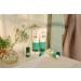The Body Shop Tea Tree Foaming Cleanser - Purifying Face Wash for Oily, Blemished Skin (5 oz) | Vegan Friendly - Buy Online on SooperMarket.com