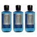 Lot of 3 Bath and Body Works Ocean Signature Collection 2 in 1 Hair Shampoo Body Wash for Men 10 Fl Oz