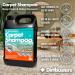 Dirtbusters 5L Carpet Cleaner Shampoo Solution - Stain Remover & Odor Treatment - Orange Fresh Scent - Buy Online on SooperMarket.com