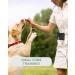 Dogster Treat for Dogs - Convenient Snack Bag with Carabiner | Quick Rewards for Your Pup - DOG01 - Buy Online on SooperMarket.com
