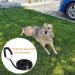 Training Leads for Dogs - Nylon Long Training Dog Leash Long Dog Recall Lead Long Line for Dog Tracking Training Long Lead Leash for Pet Recall Obedience with Comfortable Padded Handle (Black 5m/16ft) Black 5m/16ft - Buy Online on SooperMarket.com