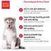 Anima-Strath Natural Food Supplement for Dogs & Cats | Immune System & Digestive Care with 61 Vital Nutrients Vitamins Minerals Amino Acids & Prebiotic Qualities | BARF Diet Food Topper (250 ml) Herbal 250 ml (Pack of 1) - Buy Online on SooperMarket.com