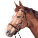 WALDHAUSEN Star Bridle Bitless Two Brown Warmblood