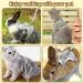 Adjustable Rabbit Dishes & Leash for Dwarf Rabbits | Soft Pet Bowls for Rabbits Cats & Small Dogs - International Shipping - Buy Online on SooperMarket.com