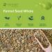 Mimea Fennel Seed Whole | 1kg | Quality Ingredients | Great for Cooking | Herbal Remedy | Natural | Great for Pickling - Buy Online on SooperMarket.com