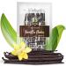 Strongus Large Tahitian Vanilla Beans - Vacuum Sealed Grade B Vanilla Bean - Rich Creamy Flavor & Aroma - Ingredients for Baking Homemade Extract Paste Brewing Coffee Cooking - 5-6" 15-Pack 15 Count (Pack of 1)