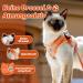 Supet Cat Dishes & Soft Vest Set for Cats & Small Dogs - Adjustable Leash Breakfast Collection Medium (33-38 cm) - Orange - Buy Online on SooperMarket.com