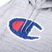 Champion Big and Tall Men's Fleece Graphic Pullover Hoodie - X-Large Tall Space Dye Hthr - Buy Online on SooperMarket.com