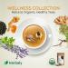 Organic Herbal Ginger Tea 70g - Herbaly Wellness Collection - 28 Count Bag - Buy Online on SooperMarket.com