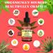 Organic Castor Oil Scalp Treatment - Rosemary Biotin & Mint for Hair Growth & Strength - 4 fl oz | Nourish & Reduce Hair Loss - Buy Online on SooperMarket.com