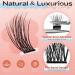 LASHVIEW Self Adhesive Eyelashes - D Curl Press On Lash Clusters Kit (10-16mm) | No Glue No Remover DIY Lash Extension - 78 Pcs with Applicator - Buy Online on SooperMarket.com