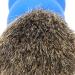 Professional Shaving Brush for Men | Ergonomic Razor Brush for Home & Salon Use | Portable Facial Care Tool - Buy Online on SooperMarket.com