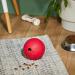 Buy TRIXIE 34943 Snack Ball - Natural Rubber 11 cm (Pack of 2) - Assorted Colors | International Shipping Available - Buy Online on SooperMarket.com