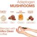 Lean Caffeine Mushroom Coffee Ground 412g | Mushroom Extract Powder Blend | Mycotoxin Free Lions Mane Reishi Cordyceps Agaricus Blazei | Bulletproof Coffee - Pack of 1 - Buy Online on SooperMarket.com