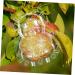 ORFOFE 2pcs Shaped Growth Fruit Buddha Baby Shaper Small Watermelon Accessories - Buy Online on SooperMarket.com