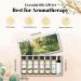 EUQEE Woody Aromatherapy Essential Oils Set - Eucalyptus, Cedarwood, Sandalwood, Frankincense, Cinnamon, Myrrh - 6 x 10ml White Bottles - Buy Online on SooperMarket.com