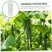 Toddmomy 2pcs Vegetable Shaping Clear Fruit Vegetable Maker Cucumber Shaper Square - Buy Online on SooperMarket.com