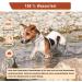 Animal Vita Tick Collar for Small Dogs | 100% Natural | 8 Months Tick Protection - Shop Now! - Buy Online on SooperMarket.com
