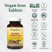 MegaFood Iron Supplements Multivitamins for Women | Whole Food Blood Builder Iron Pills Tablets with Vitamin C Vitamin B12 Folate Rice Beets Root | Fatigue Anemia Hair Loss Iron & Ferritin Deficiency (90 Count (Pack of 1) Blood Builder) - Buy Online on SooperMarket.com