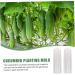 Toddmomy Garden Fruit Mould 4 Pcs Vegetable Shaping Mold Vegetables Vegetable Shaper Mold Cucumber Growth Molds Accessories - Buy Online on SooperMarket.com