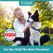 Petshero Dog Shampoo for Mites Fleas & Ticks | 250ml - Puppy Safe Pleasant Fragrance Dermatest Approved - Buy Online on SooperMarket.com