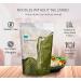 Sea Tangle Kelp Noodles with Green Tea - 12 oz | Healthy Low-Calorie Alternative - Buy Online on SooperMarket.com