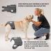 Nature PET Dog Diaper Pants for Female Dogs - Gray M - Incontinence Solution without Annoying Threading - Buy Online on SooperMarket.com