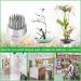 DAJAVE 10 Pack Flower Frogs - Round Japanese Flower Arranger Tool for Plant Decoration and Floral Arrangement - Buy Online on SooperMarket.com