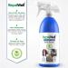 RepelWell Multi-Protect Stain & Water Repellent (12oz) Eco-Friendly  Pet-Safe Spray Keeps Your Belongings Clean  Dry and Looking Like New  Protects Fabric  Upholstery  Leather  Footwear & More Multi Protect 12oz - Buy Online on SooperMarket.com