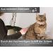 Premium Solingen Dog & Cat Thinning Scissors - 13.97 cm Effilier Fur Shears Made in Germany - Buy Online on SooperMarket.com