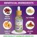Dermaplaning Oil - With Oatmeal Primrose Apricot Kernel Jojoba and Grapeseed Extracts | For Pre and post shave | 30ml Bottle | Face Oil | Facial Oil | Shave Oil | Oil Women | Facial Oils for Women - Buy Online on SooperMarket.com