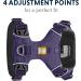 Ruffwear Front Range Dog Harness - Reflective Padded XS Purple Saga | Anti-Educational Design for Ultimate Comfort - Buy Online on SooperMarket.com
