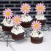 Rsstarxi 24 Pack Daisy Cupcake Toppers Baby Shower Birthday Chrysanthemum Party Cupcake Picks for Daisy Flower Theme Spring Birthday Wedding Party Cake Decorations Pink Design 1 Pink - Buy Online on SooperMarket.com