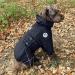 Medium Mikki Doodles Dog Raincoat - Waterproof, Windproof with Silky Lining - Buy Online on SooperMarket.com
