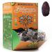 Bohemian Dates Whole Medjool Dates | Premium Extra Large All Natural Grown Fruit | Fresh Grown Fruit | Vegan, Paleo, No Added Sugar | Soft, Chewy, Caramel Flavor - 60 Count (3.3 LB) 60 Count (Pack of 1)