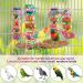 Red Parrot Swing Chewing Toy for Conures, Cockatiels, African Greys, Cockatoos, and Amazon Parrots - Buy Online on SooperMarket.com